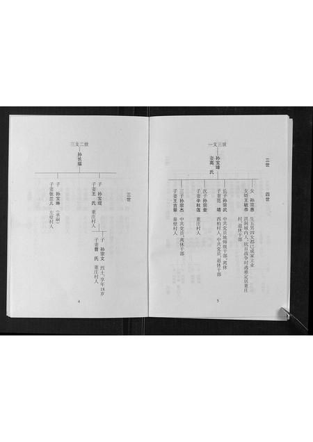 山西孙氏-孙致善堂家谱[不分卷].pdf电子版插图5