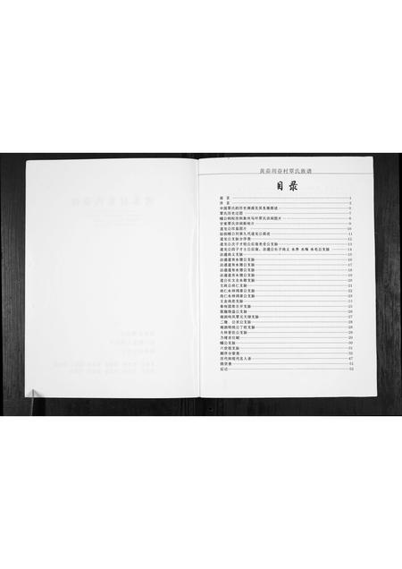 广西覃氏-周眷村覃氏族谱.pdf电子版插图2