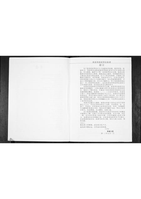 广西覃氏-周眷村覃氏族谱.pdf电子版插图3