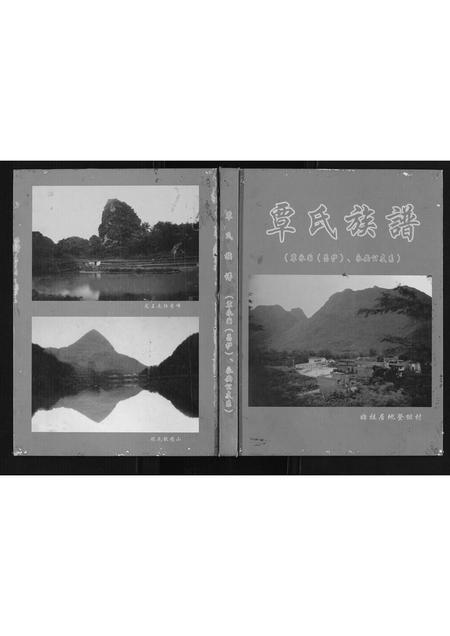 广西覃氏-覃氏族谱.覃永国永安公支系.pdf电子版插图