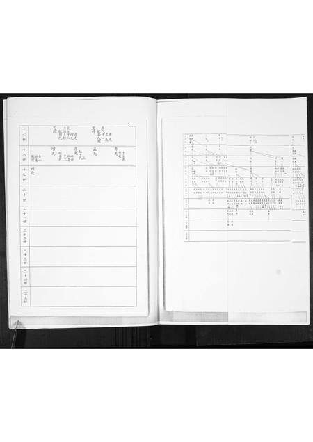 山东谭氏-谭氏族谱.pdf电子版插图3