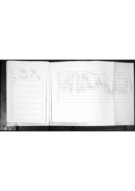 山东谭氏-谭氏族谱.pdf电子版插图4