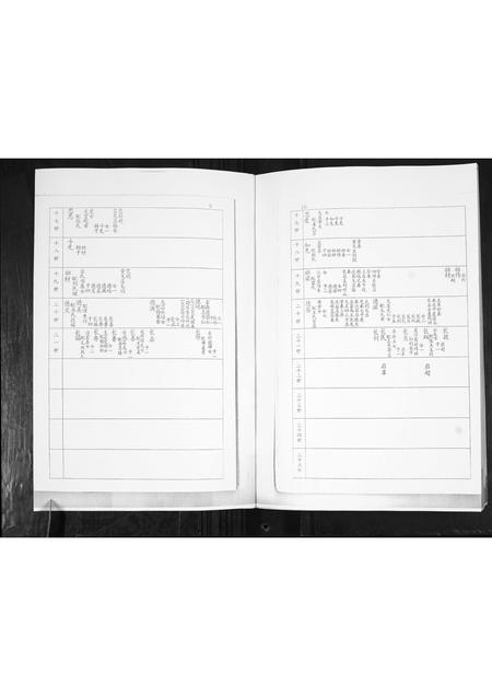 山东谭氏-谭氏族谱.pdf电子版插图5