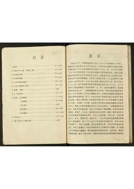 四川唐氏-唐氏宗谱.pdf电子版插图3