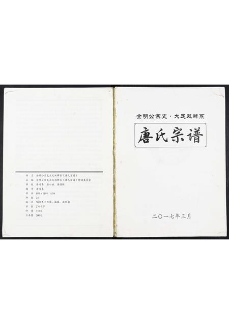 四川唐氏-唐氏宗谱.pdf电子版插图