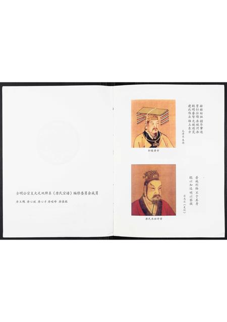 四川唐氏-唐氏宗谱.pdf电子版插图2