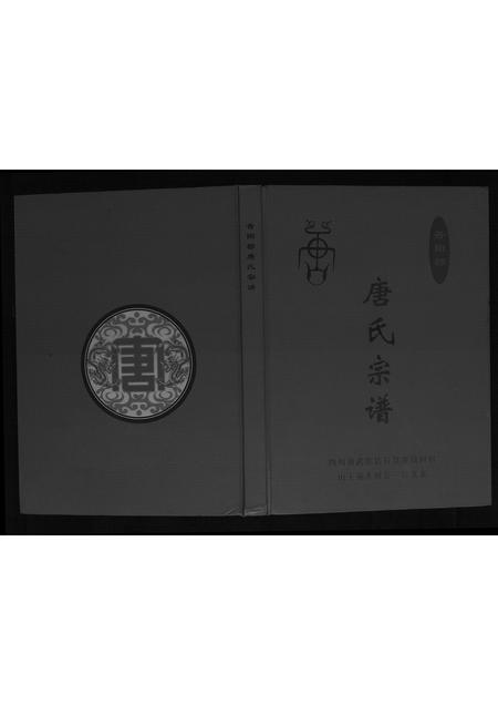 四川唐氏-唐氏宗谱[不分卷].pdf电子版插图