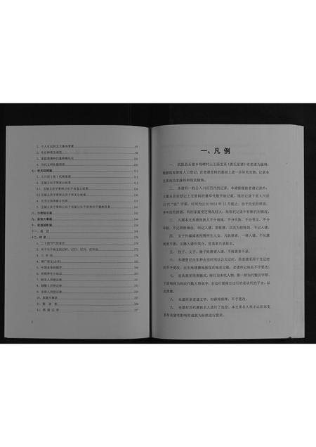 四川唐氏-唐氏宗谱[不分卷].pdf电子版插图2