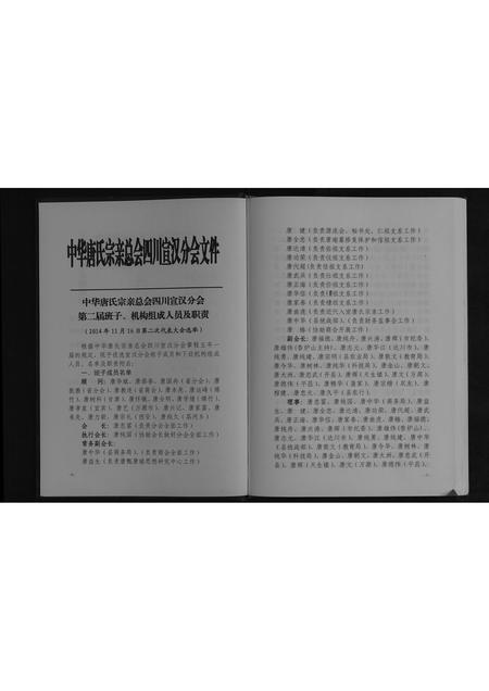 四川唐氏-中华唐氏通谱.pdf电子版插图3