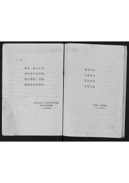 四川唐氏-唐氏宗谱[不分卷].pdf电子版插图2