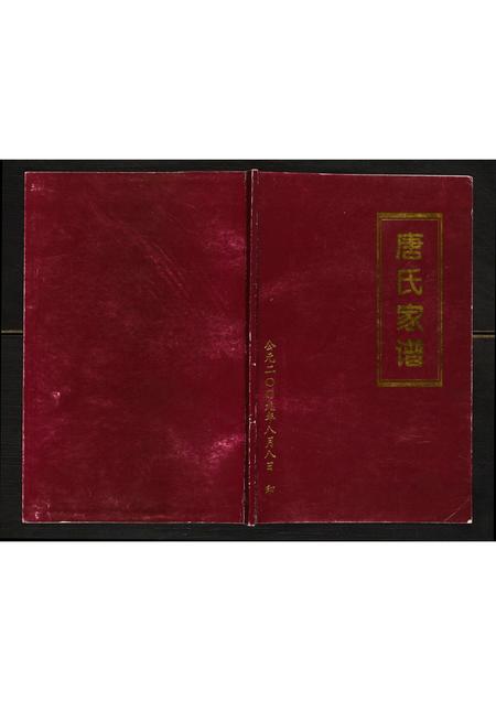四川唐氏-唐氏家谱.pdf电子版插图