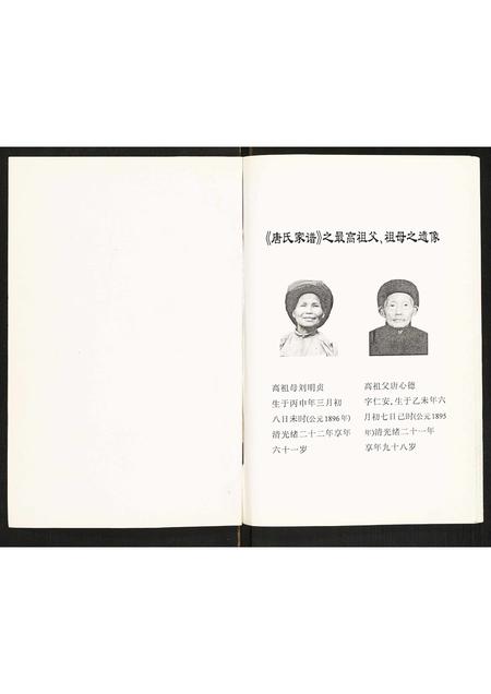 四川唐氏-唐氏家谱.pdf电子版插图1