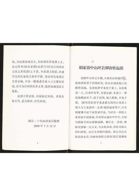 四川唐氏-唐氏家谱.pdf电子版插图3