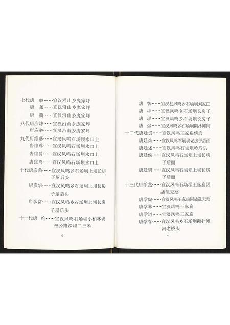 四川唐氏-唐氏家谱.pdf电子版插图5