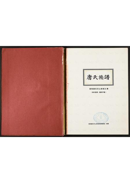 四川唐氏-唐氏族谱.pdf电子版插图1 四川唐氏-唐氏族谱.pdf电子版插图1