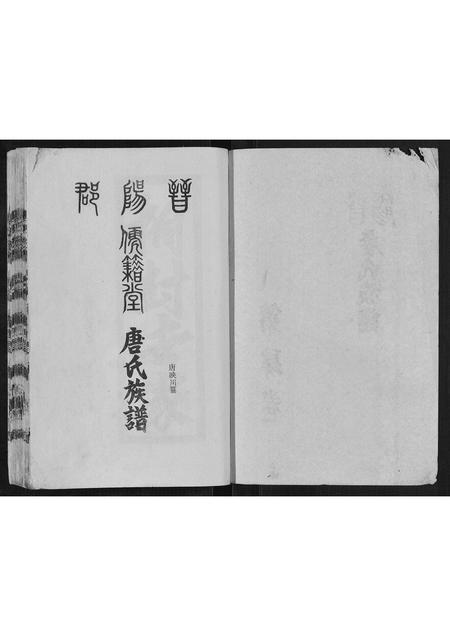 四川唐氏-唐氏族谱[4卷].pdf电子版插图2