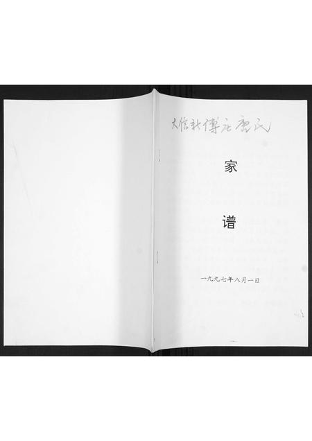 山东唐氏-唐氏家谱.pdf电子版