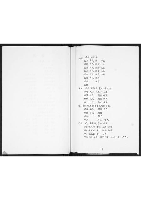 山东唐氏-唐氏家谱.pdf电子版插图4