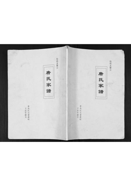 山东唐氏-唐氏家谱.pdf电子版插图 山东唐氏-唐氏家谱.pdf电子版插图