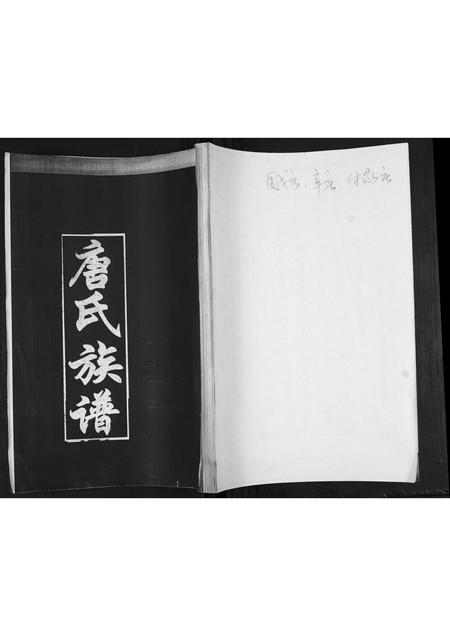 山东唐氏-唐氏族谱.pdf电子版插图 山东唐氏-唐氏族谱.pdf电子版插图