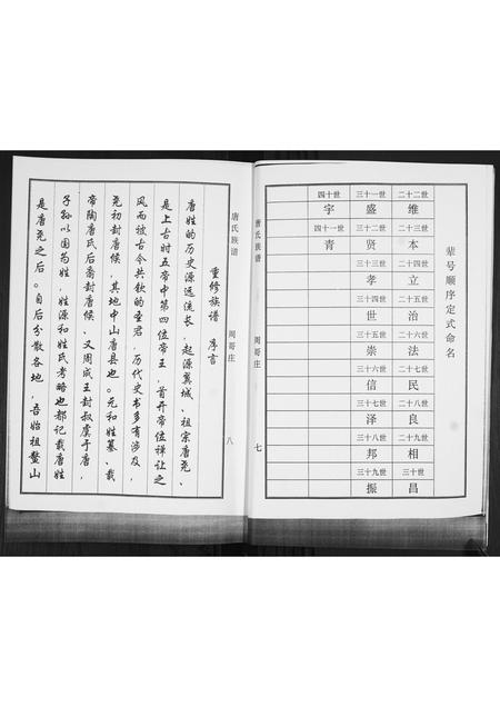 山东唐氏-唐氏族谱.pdf电子版插图4 山东唐氏-唐氏族谱.pdf电子版插图4