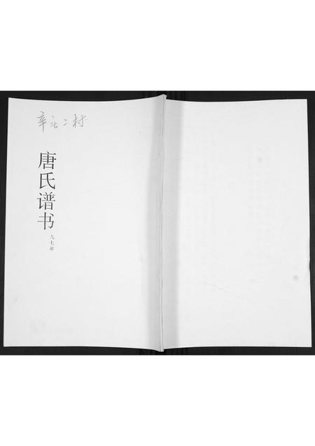 山东唐氏-唐氏谱书.pdf电子版插图 山东唐氏-唐氏谱书.pdf电子版插图