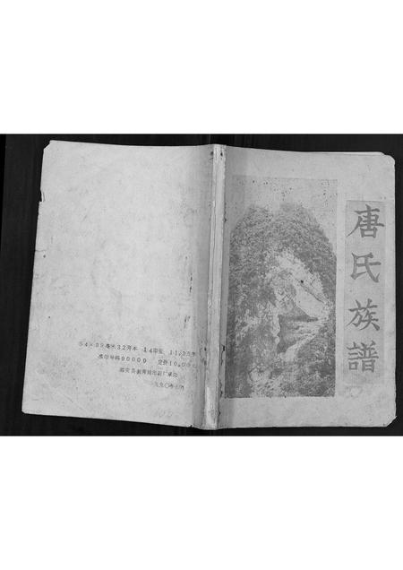 广西唐氏-唐氏族谱[不分卷].pdf电子版插图