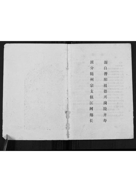 广西唐氏-唐氏族谱[不分卷].pdf电子版插图1