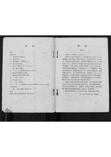 广西唐氏-唐氏族谱[不分卷].pdf电子版插图2