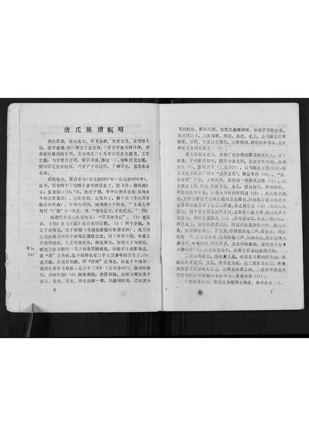广西唐氏-唐氏族谱[不分卷].pdf电子版插图5