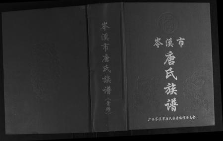 广西唐氏-岑溪唐氏族谱.pdf电子版插图