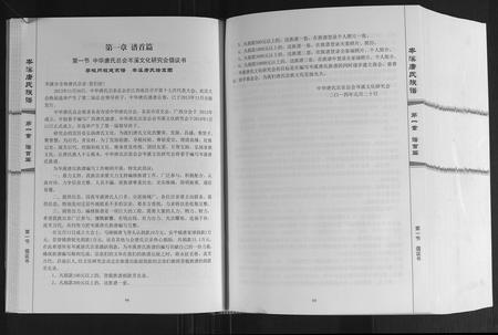 广西唐氏-岑溪唐氏族谱.pdf电子版插图1