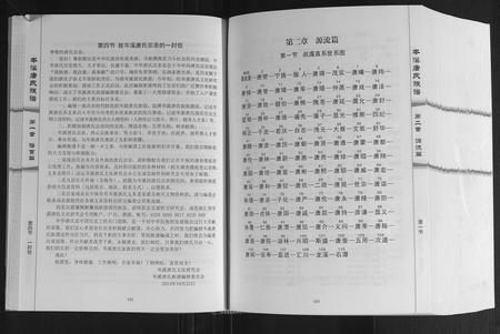 广西唐氏-岑溪唐氏族谱.pdf电子版插图5