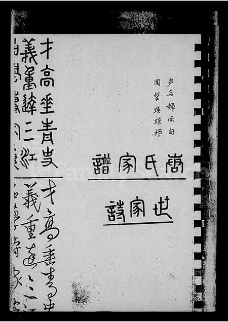 海南唐氏-荔枝塘村唐氏修家谱.pdf电子版插图1