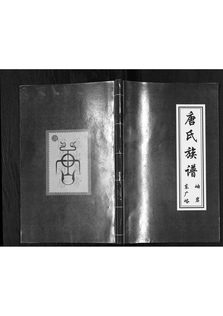 辽宁唐氏-唐氏族谱[不分卷].pdf电子版插图