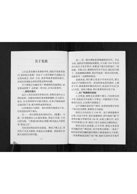 辽宁唐氏-唐氏族谱[不分卷].pdf电子版插图4