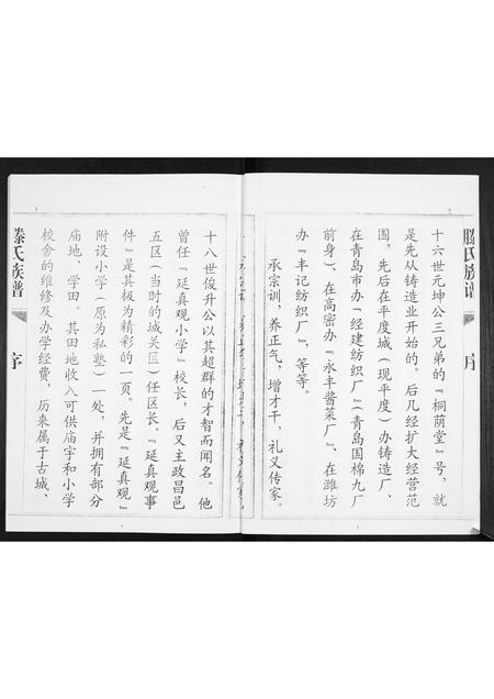 山东滕氏-滕氏族谱.pdf电子版插图4 山东滕氏-滕氏族谱.pdf电子版插图4