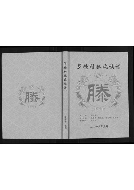 广西滕氏-罗塘村滕氏族谱.pdf电子版插图