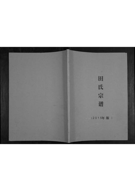 四川田氏-田氏宗谱.pdf电子版插图