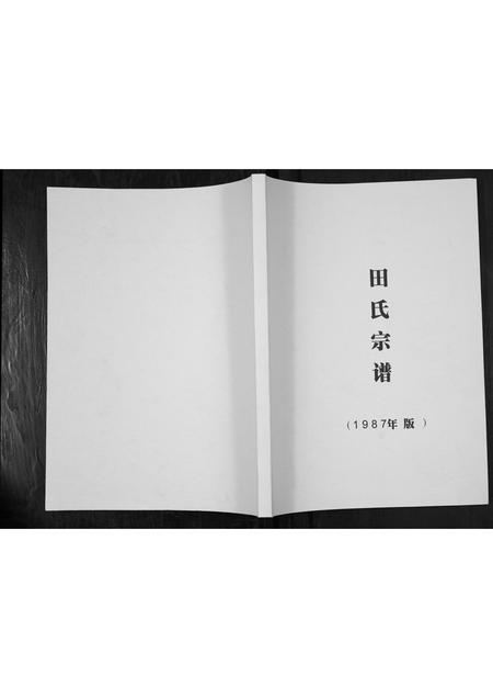 四川田氏-田氏家谱.pdf电子版插图