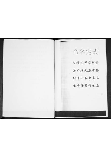 山东田氏-田氏族谱.pdf电子版插图4 山东田氏-田氏族谱.pdf电子版插图4