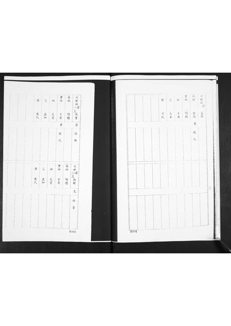 山东田氏-田氏族谱.pdf电子版插图5