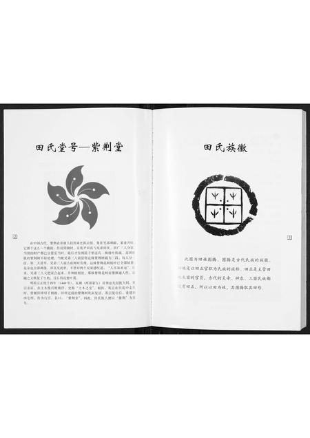 山西田氏-大会头村田氏家谱.pdf电子版插图1