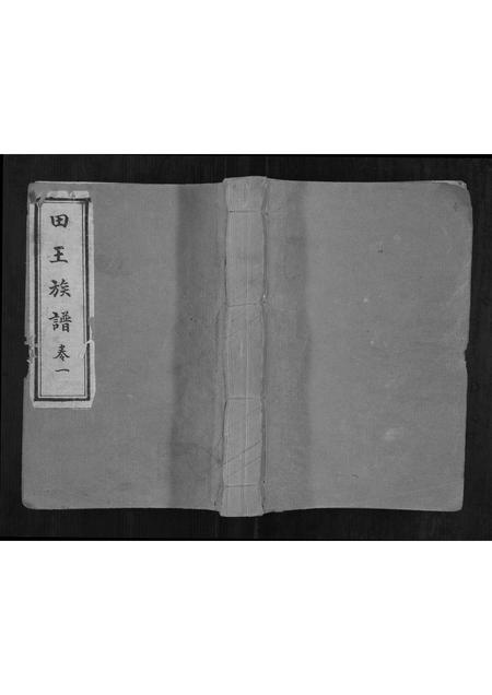 山东田氏王氏-田王族谱[5卷].pdf电子版