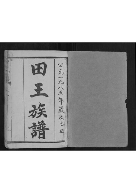 山东田氏王氏-田王族谱[5卷].pdf电子版插图1