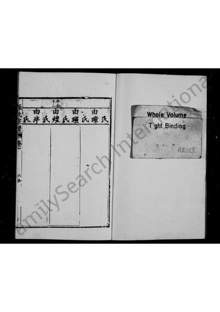 四川汪氏-汪氏宗谱 [残卷].pdf电子版插图1