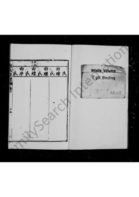 四川汪氏-汪氏宗谱 [残卷].pdf电子版插图2