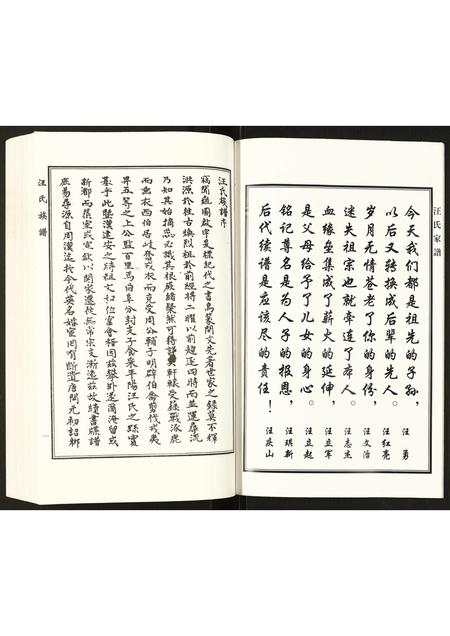 河北汪氏-汪氏家谱.pdf电子版插图4