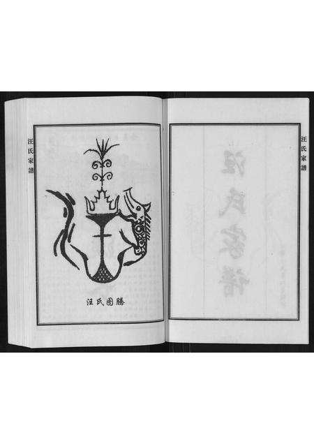 河北汪氏-汪氏族谱.pdf电子版插图2