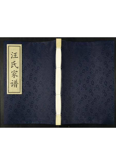 陜西汪氏-汪氏家谱.pdf电子版